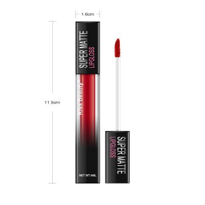 China Waterproof Non-stick Cup Non-fading Matte Lipstick Mist Lip Gloss for sale