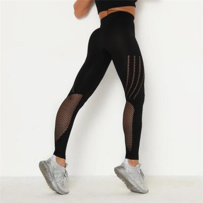 China Breathable Seamless Women's Fitness Pump High Waist Sports Leggings Tights Butt Gym Booty Gaiters Yoga Pants for sale