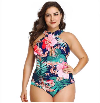 China Breathable customs women's swimsuit plus size one piece swimwear floral big woman bathing suit wholesale beachwear for sale