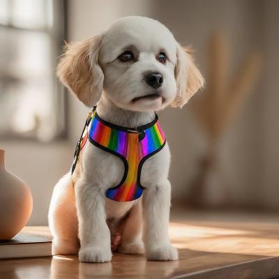 China Stylish Adjustable Pet Collars Leashes Harnesses Custom Dog Collars Leashes And Harnesses for sale