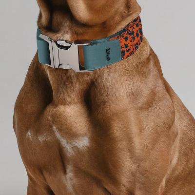 China Collar para perros con estilo, correa para gatos y correa para cerraduras, materiales mixtos en venta