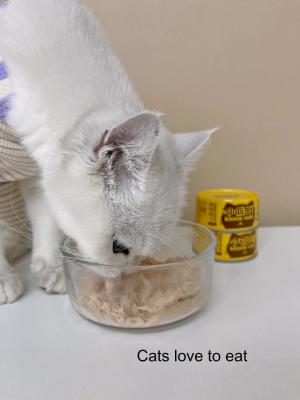 中国 Hydrating and Beautifying Chicken Healthy Pet Food Clean And Sanitary for Cats Feed Directly 販売のため