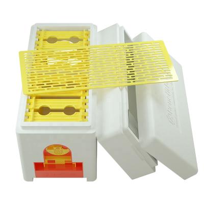 China Benefitbee Trade Assurance Beekeeping Two Layers Bee Hive Foam Box Hive EPS For Beekeeping for sale