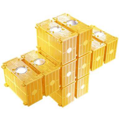 China Beekeeping Equipment Benefitbee Beekeeping Plastic Bee Pacakge For Honey Bees Carrier Cage for sale