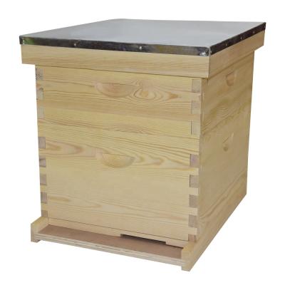 China Benefitbee 8 or 10 Frames New Zealand Pine Langstorth Bee Hive Wooden Beehive for sale