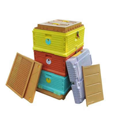 China Benefitbee 10 Frames Size Hive Box Beekeeping Three Layers Langstroth Plastic Thermo Beehive for sale