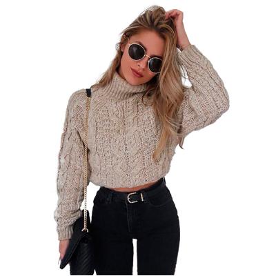 China 2022 High Quality Turtle Neck Women's Anti-wrinkle Sweater Twist Knit Long Short Sleeve Women's Sweater for sale