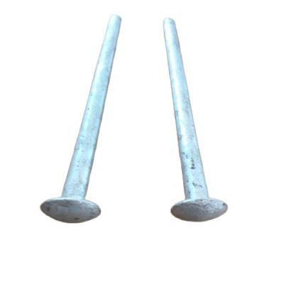 China Outdoor Camping Raising Tent Pegs Moving Galvanized Steel Garden Stakes 10mm-30mm Metal Nails for sale