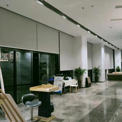 China Minimalist Living Room Electric Roller Shades Printed Indoor Motorized Roller Shades for sale