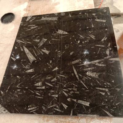 China Modern natural black marble natural marble slabs for wall tiles decoration for sale