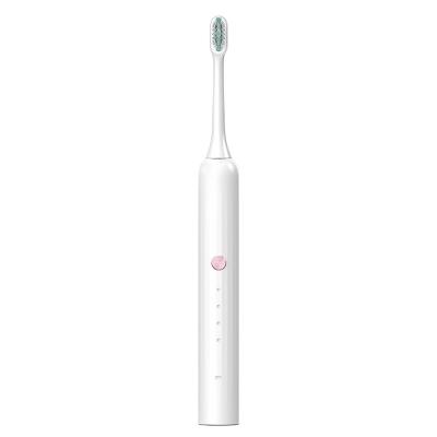 China USB Rechargeable Battery Powered Portable Type-c Sonic Electric Toothbrush for sale