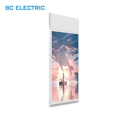 China BC4300 55 inch double side high brightness store ceiling double hanging lcd advertising window digital signage display BC4300 for sale