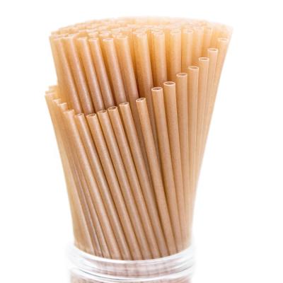 China Biodegradable Biodegradable Sugarcane Bagasse Straw, 6mm Eco Friendly Disposable Sugarcane Straws Compostable for sale