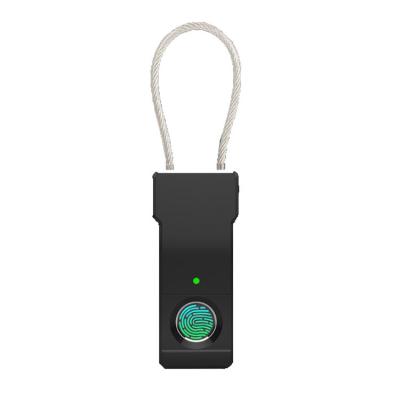 China Old Door Keyless Fingerprint Open Stainless Steel Biometric Smart Padlock USB Rechargeable Electric Lock for sale