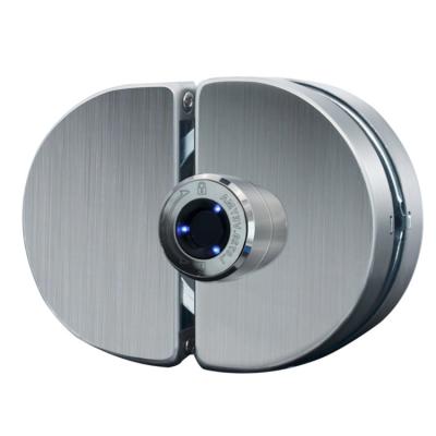 China Glass Double Door Simple Style Smart Lock No Door Lock Stainless Steel Double Door Fingerprint Drilling Biometric Lock for sale