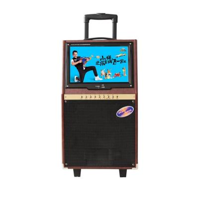 China Temeisheng A12-14 PORTABLE LCD DJ Cart MP5 Outdoor Speaker for sale