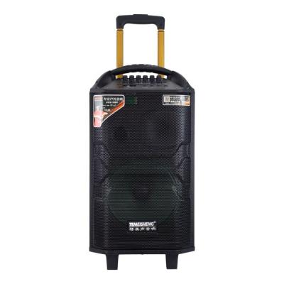 China No Temeisheng 12 Inch Outdoor Portable Trolley DJ Speaker for sale