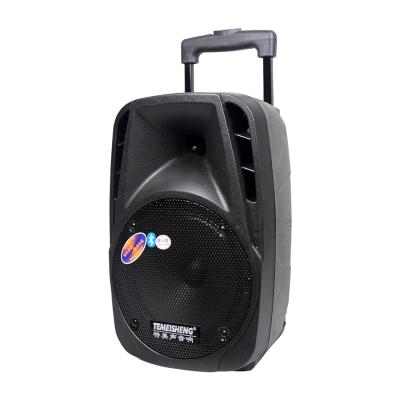 China PORTABLE DJ Cart Karaoke Temeisheng Active Speaker With Battery Powered Portable BT Audio ABS for sale