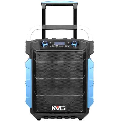 China TEMEISHENG Wireless Rechargeable 12 Inch Subwoofer Outdoor Portable Trolley Karaoke Speakers for sale