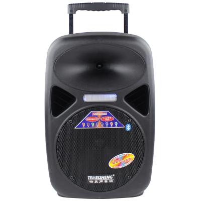 China TEMEISHENG PORTABLE 10 inch portable outdoor active multifunctional speaker with large capacity battery for sale