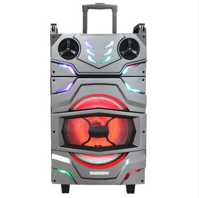 China Temeisheng wireless 10 inch trolley speaker with rechargeable battery good quality speaker for sale