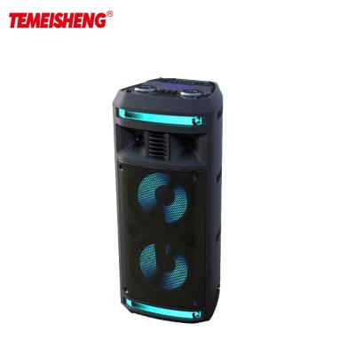 China 2020 TEMEISHENG Factory Direct Sales Karaoke Speaker System Wireless Portable Dual Speaker AMAZONE Hit 6inch for sale