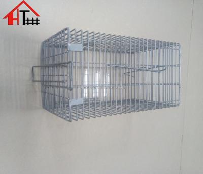 China Viable Professional Style Humanitarian Live Animal Cage Trap for sale