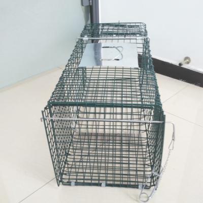 China Viable Welded Wire Mouse Trap Cage for sale