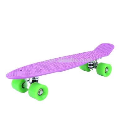 China Mini PP 22inch Fish Cruiser Cool Skateboard Fish Skateboard Deck Rainbow Skateboard for sale