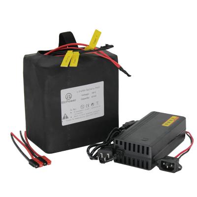 China E-Bike E-scooter 48V 10ah Lifepo4 Battery Pack For Electric Bike Scooter Ebike Motor With BMS Charger for sale