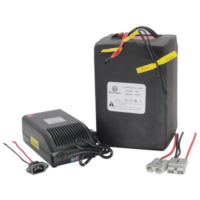 China E-Bike E-scooter 48v 40ah Electric Bicycle Lifepo4 Battery 48 Volt Scooter Ebike Battery With 50a Bms And 5a Fast Charger For 750-2500w Motor for sale