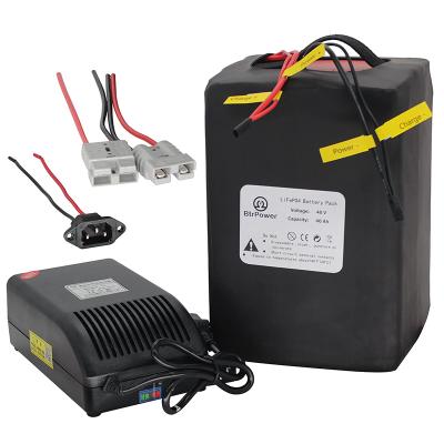 China E-bike E-scooter Factory Directly Sell 48v 40ah Ebike Battery Lifepo4 Battery Pack With 50a Bms For 750-2500w Motor Electric Bicycle Motorcycle for sale