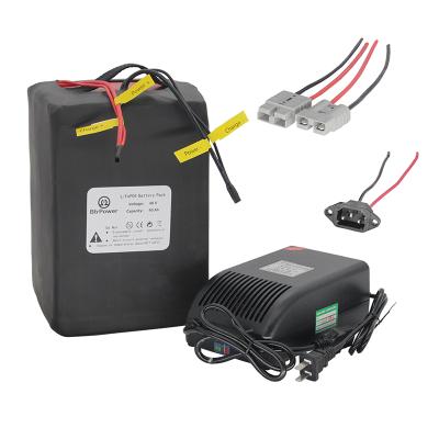 China Cheap E-Bike E-scooter Best 48V 40ah Lithium LiFePO4 Battery Pack + 50A BMS For 2000W Ebike Pedicab Scooter For Tricycle Motorcycle for sale