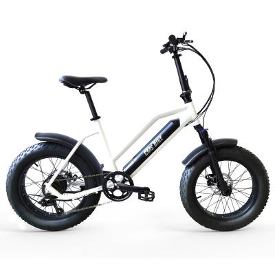 China Aluminum alloy fat tire electric bike 20 inch beach snow snow bicycle 350w mountain electric ebike for sale