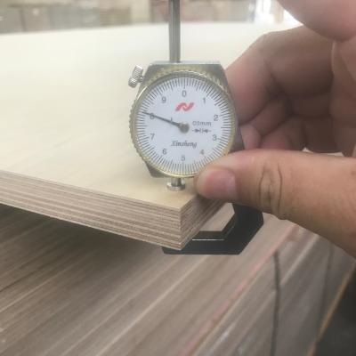 China 18mm modern plywood/finnish birch plywood/white birch plywood for sale