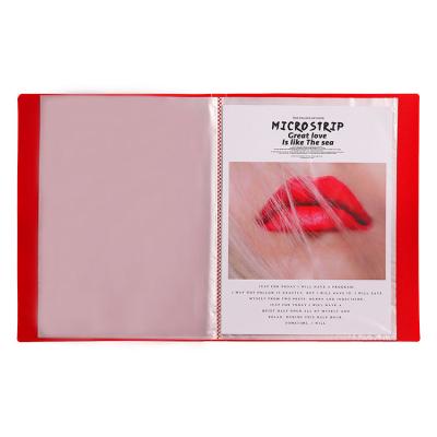 China Stylish PP Clear A4 Book With Printed Stripes for sale