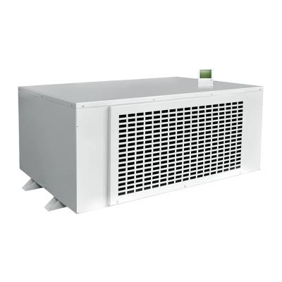 China Hotels 480 L/D Pool Duct Ceiling Mounted Dehumidifier Porcelain for sale