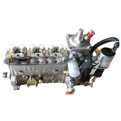 China 6BT5.9 6BT Diesel Engine Part Weixi Weifu Fuel Injection Pump 3977402 Fuel Pump 6A106 Standard Size for sale