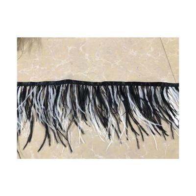 China Ostrich Feathers Hot Selling Best Quality Feathered Ostrich 13-15 Feather Trims Fringe For Decoration for sale