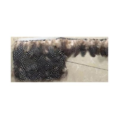 China Cheap Guinear Feather Ostrich Feathers Fringe Trim On for sale