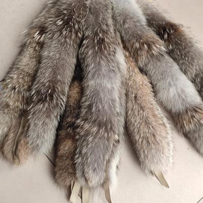 China Coyote Fur Collar Trimming 50cm 55cm 60cm 65cm 70cm Hood 75cm Natural Color Wholesale True Trimming For Coat Jacket Hood for sale