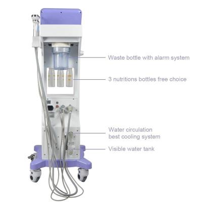 China Portable 5 Exfoliators in 1 Hydra Demarbrasion Skin Hydra Oxygen Facial Machine for sale