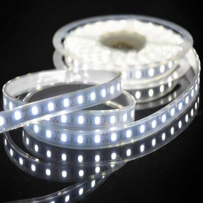 China Theme Park Jishang Save Cost 5050 Flexible Waterproof RGB Led Strip 24V Black Light Led Strip 220V for sale