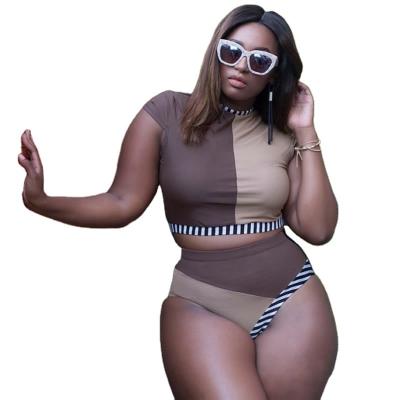 China Julysand Hot Selling Sexy Bikini Plus Size Plus Size Two Piece Women Tribal Swimwear Plus Size Bikini Top for sale