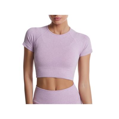 China Women's Fitness Yoga Top Women's Yoga Activewear Crop Seamless Hot Selling Nylon Seamless Top for sale