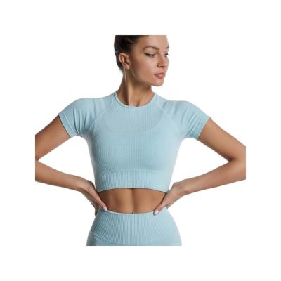 China High Quality Seamless Crop Top Seamless Top Short Sleeve T-shirt Women Yoga Tops Women's Nylon Activewear for sale