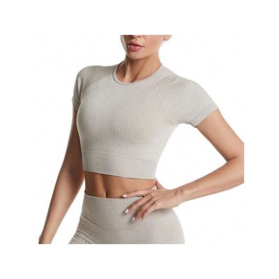 China Good Options Yoga Seamless Crop Tops For Women Gym Workout Yoga Shorts Seamless Sleeve Activewear for sale