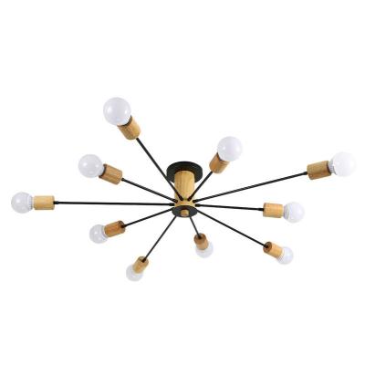 China Modern decorative vintage outdoor mounted modern ceiling lights for living room for sale