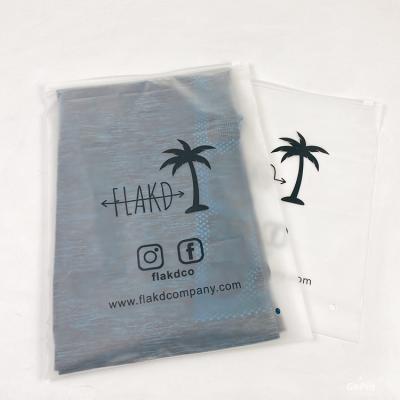 China Wholesale Custom Biodegradable White Frosted Logo EVA/PVC Jewelry Clothing Packaging Zipper Bag for sale