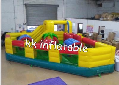 China Customize Attractive Inflatable Bouncer / Jumping Bouncy Castle for sale